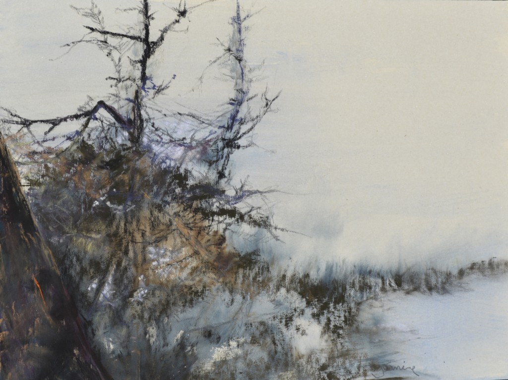 Christman_J_Splendor of Patrick's Point